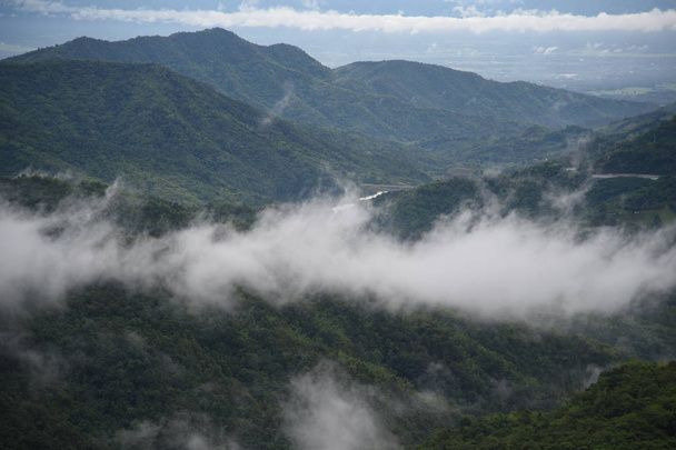 Aerial view of the morning foggy landscape in the mountains. The morning view on the hilltop. - 写真・画像