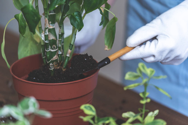 Κηπουρός κρατώντας φτυάρι με χώμα πάνω από καφέ κατσαρόλα στο ντιεφενμπάκ - Φωτογραφία, εικόνα