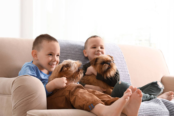 Portrait of cute boys with funny Brussels Griffon dogs at home. Loyal friends - Fotografie, Obrázek
