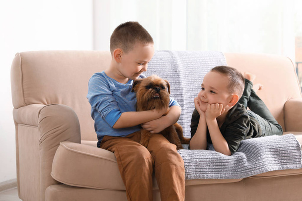 Portrait of cute boys with funny Brussels Griffon dog at home. Loyal friends - Φωτογραφία, εικόνα