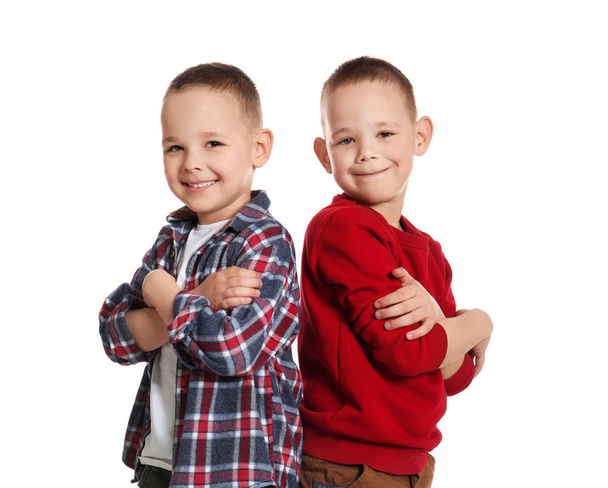 Portrait of cute twin brothers on white background - Photo, Image