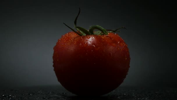 Rotačního otáčení červené rajče pokryté kapkami vody. Čerstvý a šťavnatý, perfektní na stravu. rozlišení 4k, opakování videa. - Záběry, video