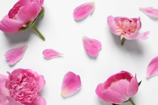 Beautiful peony flowers on white background, top view - Foto, Imagen