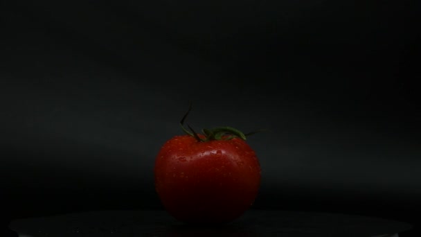 Rotačního otáčení červené rajče pokryté kapkami vody. Čerstvý a šťavnatý, perfektní na stravu. rozlišení 4k, opakování videa. - Záběry, video