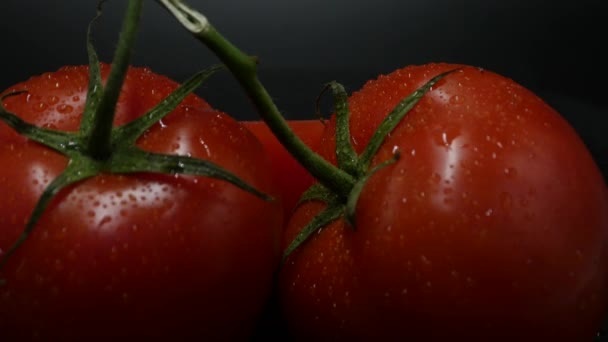 Rotační otáčení červená rajčata pokrytá kapkami vody. Čerstvý a šťavnatý, perfektní na stravu. rozlišení 4k, opakování videa. - Záběry, video