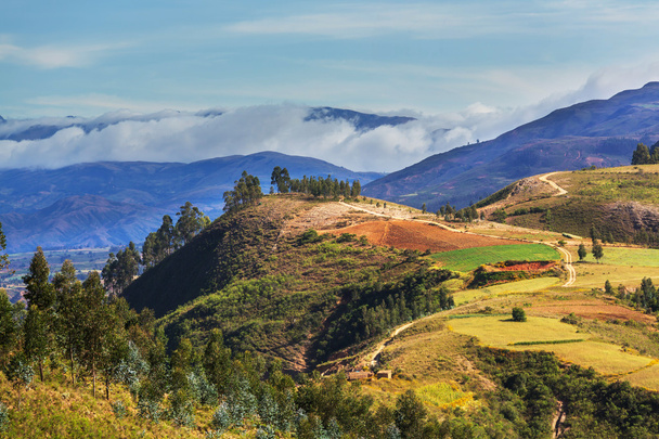 Felder in Bolivien - Foto, Bild