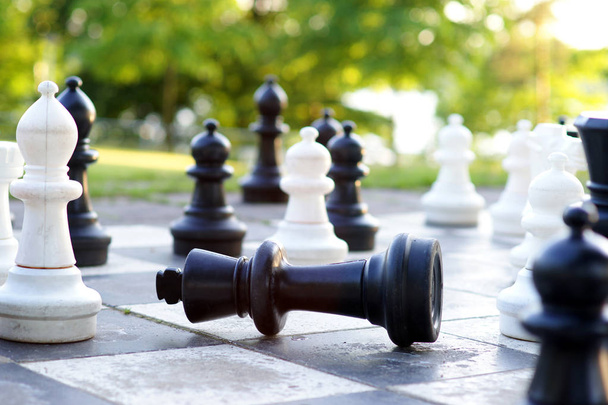 Шахматы - гигантская открытая шахматная доска с большими фигурами в парке - концепция стратегии
 - Фото, изображение