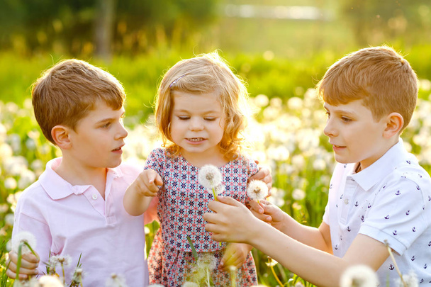 Two kids boys and little baby girl blowing on a dandelion flowers on the nature in the summer. Happy healthy toddler and school children with blowballs, having fun. Family of three love, together - Photo, Image