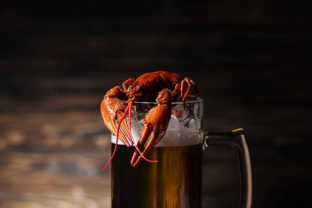 red lobster on glass with beer on wooden surface - Photo, Image