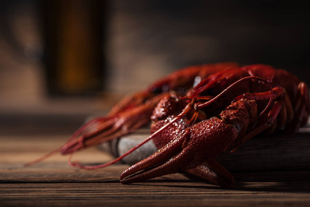 Selektywny fokus czerwonych homarów na powierzchni drewnianej i szkła z piwem na tle - Zdjęcie, obraz