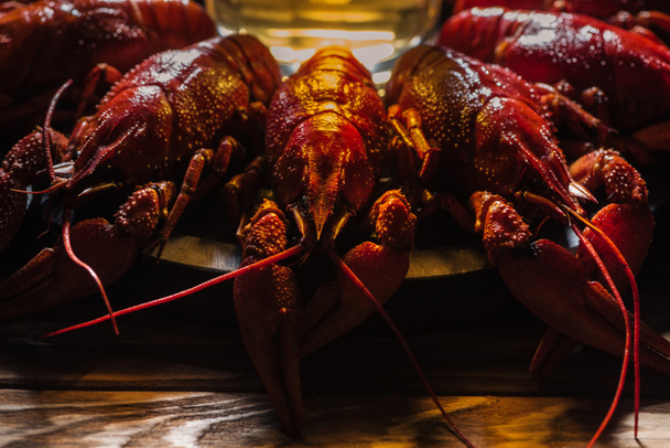 selective focus of plate with red lobsters and glass of beer on wooden surface - Фото, зображення