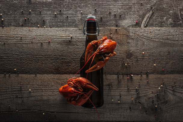 top view of red lobsters and bottle with beer on wooden surface - Foto, immagini