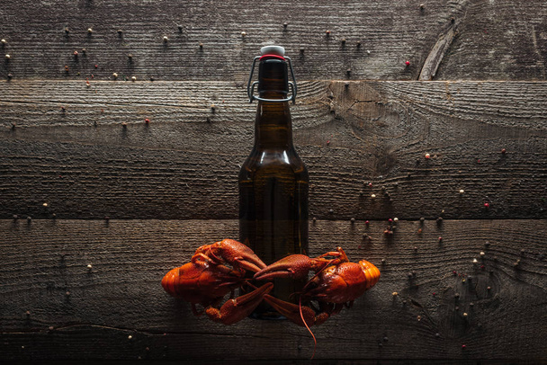 Widok z góry na czerwone homary na butelce z piwem na drewnianej powierzchni - Zdjęcie, obraz