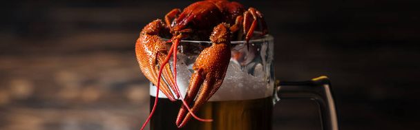 panoramic shot of red lobsters on glass with beer at wooden surface - Foto, imagen