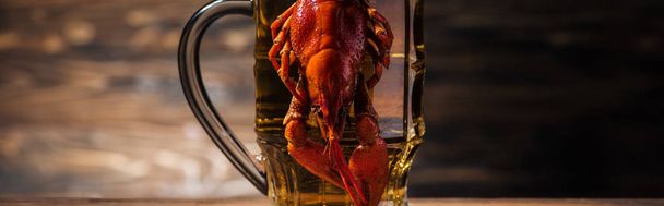 panoramic shot of red lobster on beer glass at wooden surface - Φωτογραφία, εικόνα