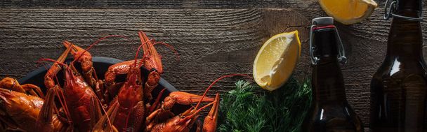 panoramic shot of red lobsters, lemon slices, dill and glass bottles with beer on wooden surface - Photo, Image