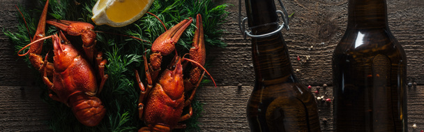 panoramic shot of red lobsters, lemon slice, dill and glass bottles with beer on wooden surface - Fotó, kép