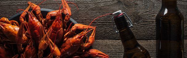 prise de vue panoramique de homards rouges sur assiette et bouteilles en verre avec bière à la surface en bois
 - Photo, image