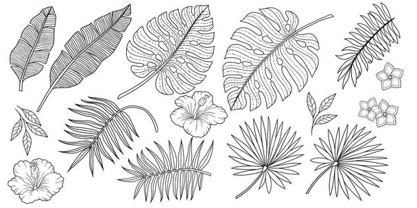 Colorear Conjunto de diferentes plantas tropicales de hojas de plátano y palmeras y flores. Capas aisladas vectoriales. Diseño exótico de verano para invitaciones, carteles, fondos
 - Vector, Imagen