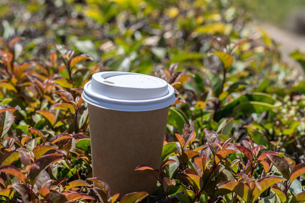 Hand hält eine Tasse, Kaffeetasse aus Papier mit leckerem Kaffee, das Design Ihres Cafés - Foto, Bild