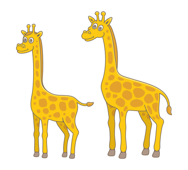 Set of Giraffes. isolated on white background - Vector, Image