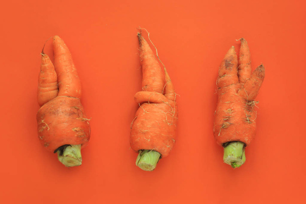 Comida fea. Zanahorias orgánicas deformadas sobre fondo pastel en duoton verde y naranja
. - Foto, imagen