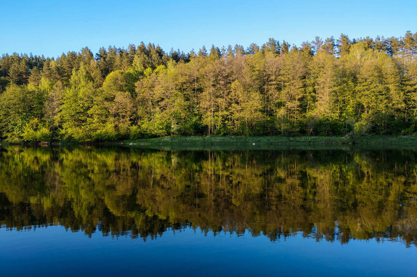 Belo rio com uma floresta, o reflexo de árvores na água, superfície calma lisa da água sem ondas
. - Foto, Imagem