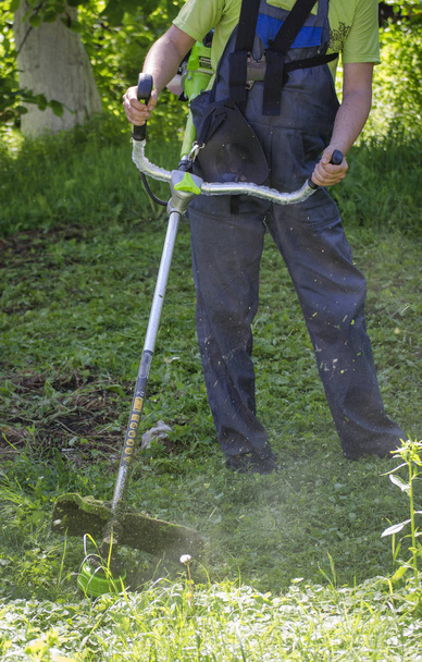 Pracownik tnie trawę z trymera - Zdjęcie, obraz