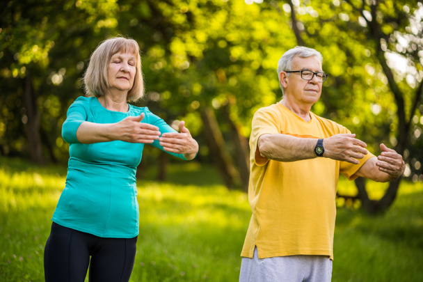 Senior couple is enjoying Tai Chi exercise in park. - Zdjęcie, obraz