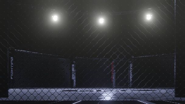 Mma arena side view. Empty fight cage under lights. 3D rendering - Photo, Image