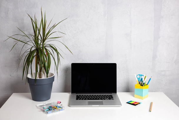 Moderní pracovní stůl se zelenou rostlinu v šedé konvici a notebooku - Fotografie, Obrázek