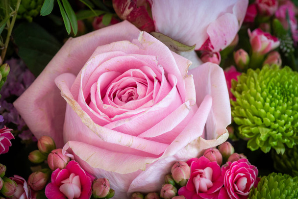 světle růžová růže v barvě jarní květinové kytice s chrysanthem - Fotografie, Obrázek