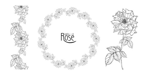 arreglo floral vector con flores de rosa y capullos de rosa
 - Vector, Imagen