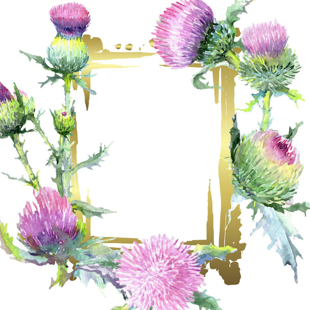 Pink thistle floral botanical flowers. Watercolor background illustration set. Frame border ornament square. - Photo, Image