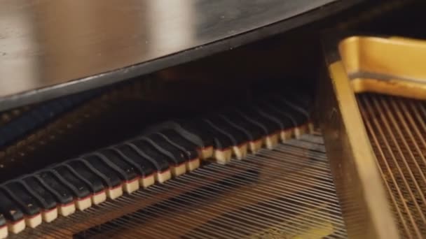 El mecanismo interno del piano piano. Mecanismo. Reproducir música
. - Metraje, vídeo