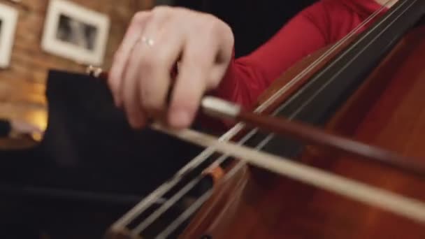 Violoncelo. Mãos de violoncelo tocando violoncelo com arco. E pianista
 - Filmagem, Vídeo