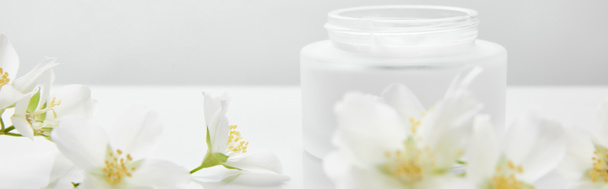 tiro panorâmico de flores de jasmim na superfície branca perto de jarro com nata
 - Foto, Imagem