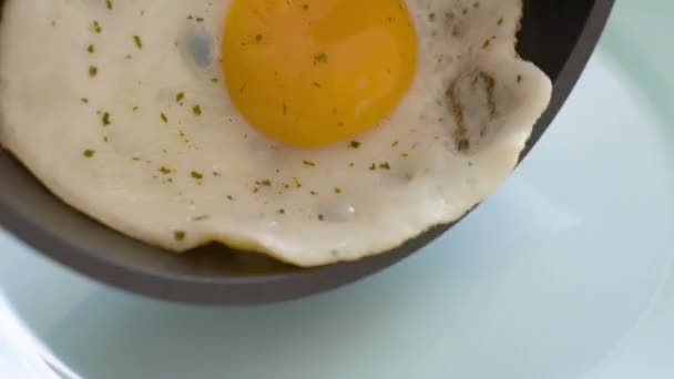Uovo fritto sul piatto
 - Filmati, video