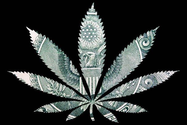 Marihuana Cannabis list s dolarovou bankovkami uvnitř - Fotografie, Obrázek