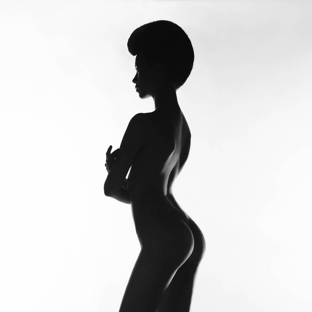 Nude elegant woman - Zdjęcie, obraz