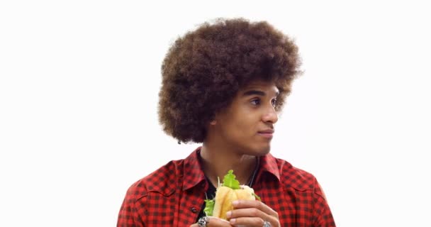 Beautiful happy fun young curly black hair cool adult man confident smiling eating sandwich.Person action.People video portrait eat food isolated on white background.Medium shot.4k video - Кадри, відео