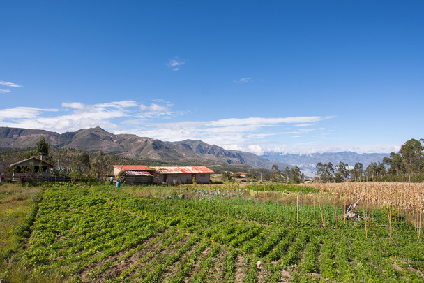 farma (finca) na cestě k saraguro, Ekvádor - Fotografie, Obrázek
