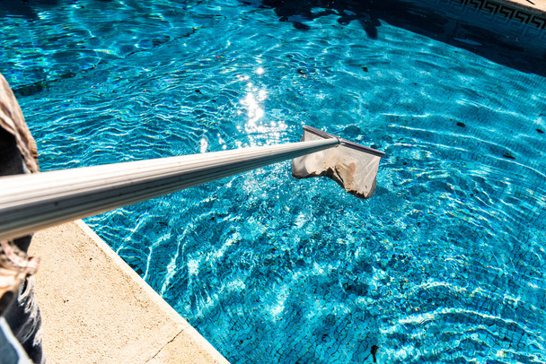 Entretien à l'aide d'un râteau écumeur de feuille de piscine en été pour
  - Photo, image