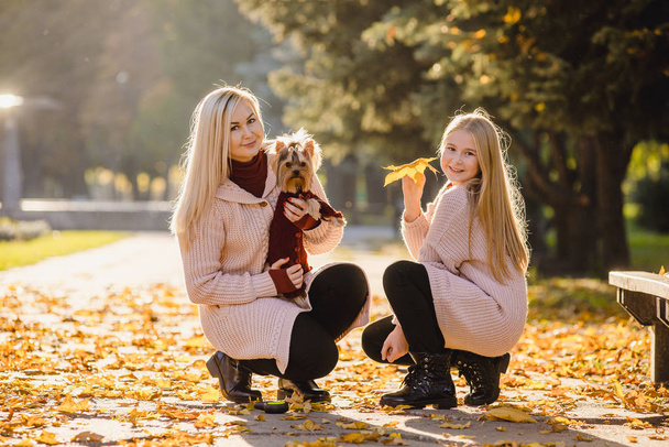 Femme de famille et sa fille se promènent dans le parc d'automne avec leur chien Yorkshire Terrier
 - Photo, image