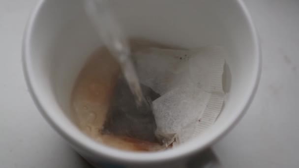 boiling water is poured into a glass with a disposable tea bag top view - Séquence, vidéo