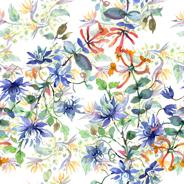 Bouquet floral de fleurs botaniques. Ensemble d'illustration de fond aquarelle. Modèle de fond sans couture
. - Photo, image