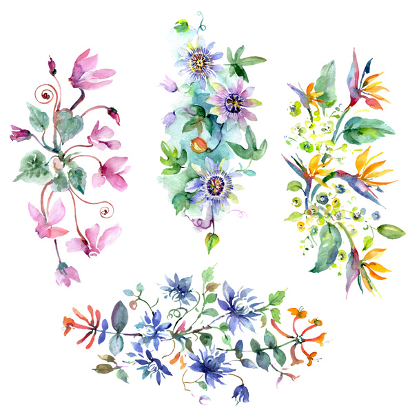 Blumenstrauß botanische Blumen. Aquarell Hintergrundillustration Set. isolierte Blumensträuße Illustrationselement. - Foto, Bild