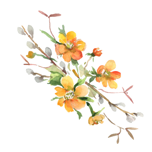 Bouquet floral botanical flowers. Watercolor background illustration set. Isolated bouquets illustration element. - Photo, Image