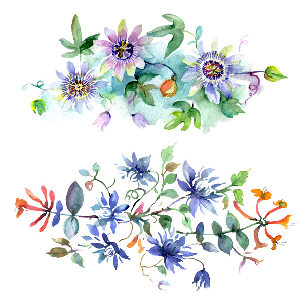Bouquet floral de fleurs botaniques. Ensemble d'illustration de fond aquarelle. Bouquets isolés élément illustration
. - Photo, image