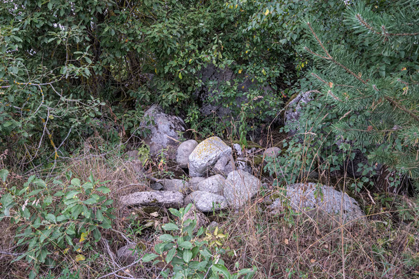 rocas en bosque verde
 - Foto, Imagen